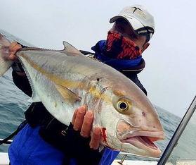 网红鱼神吃瓜视频下载,揭秘网红鱼神的趣味生活瞬间